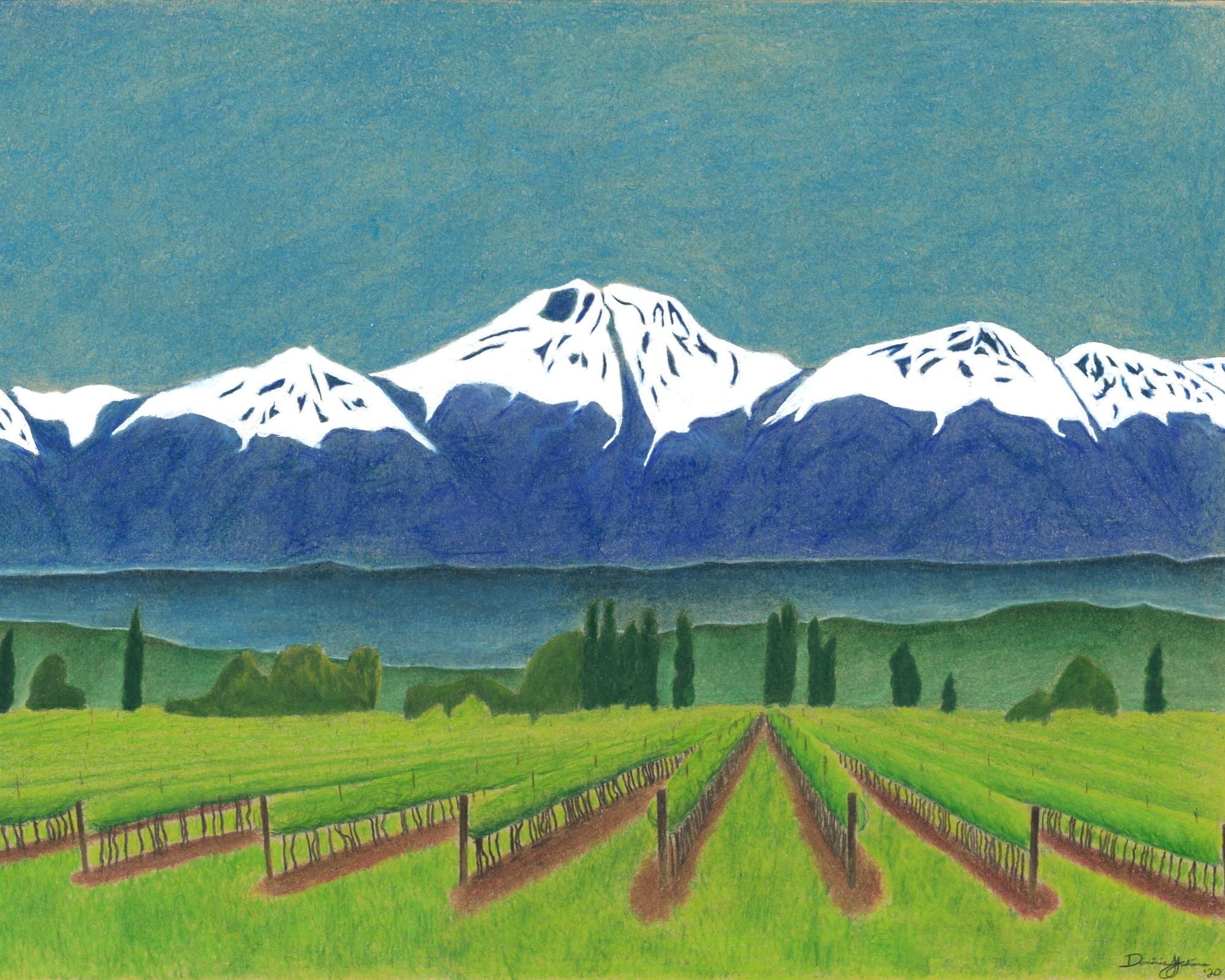 Vineyard with Andes mountains
